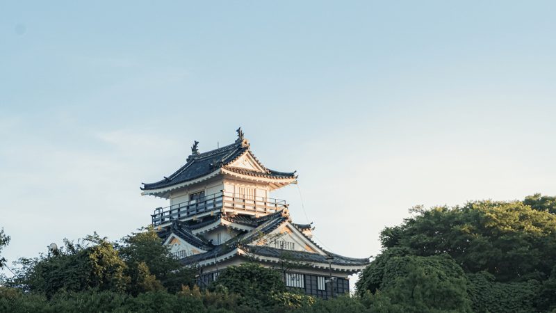Château japonais parmi les arbres